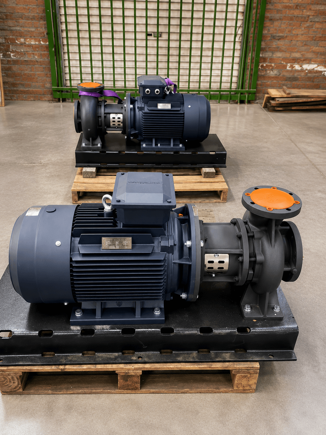 Two Industrial Pump Assemblies